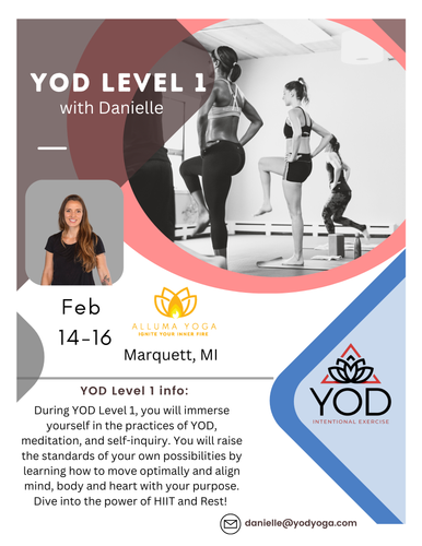 YOD Level 1 at Alluma Yoga Feb 14 - 16