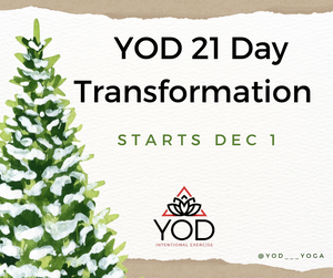 21 YOD Transformation